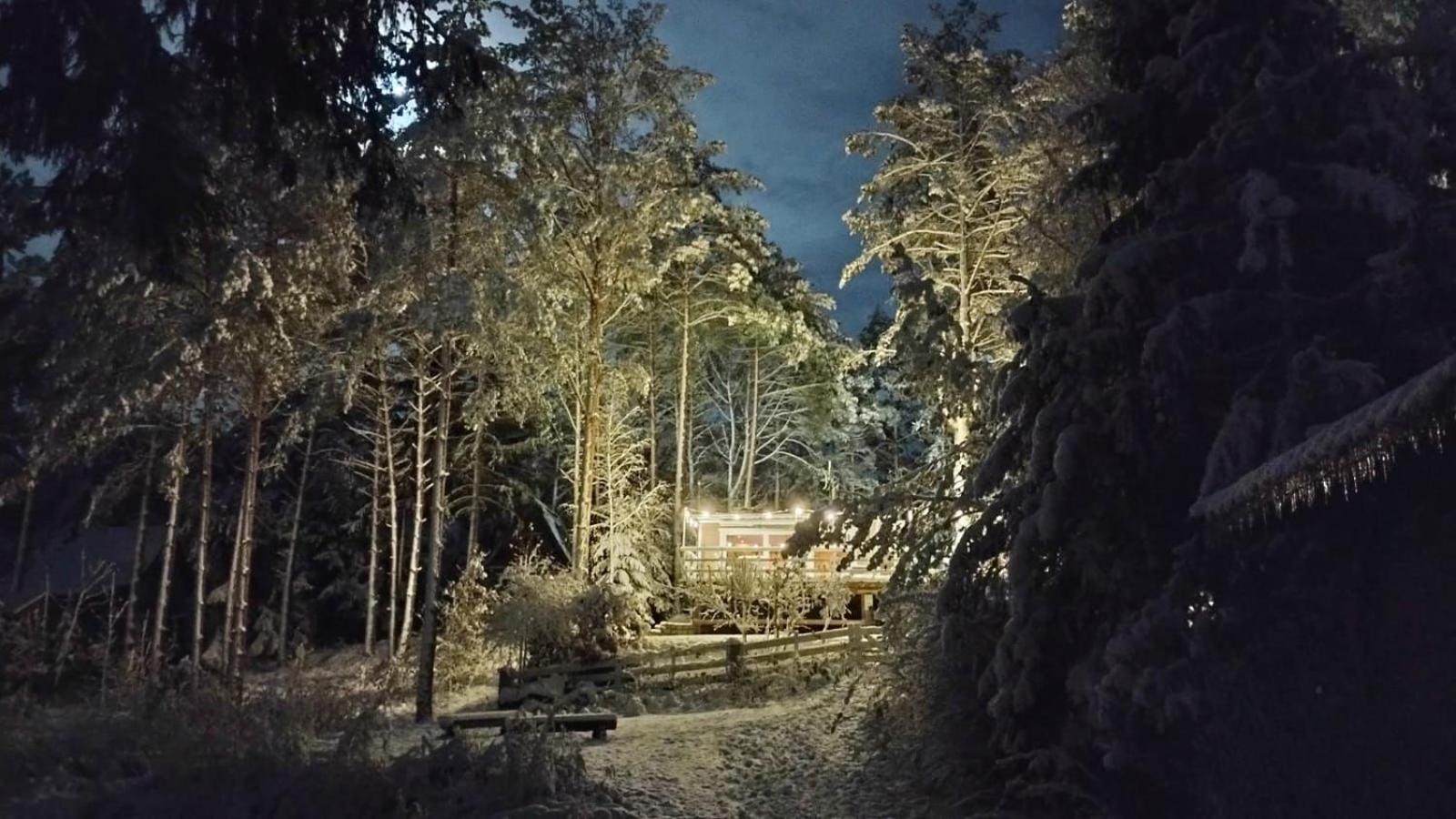 Sosnowy Azyl Βίλα Wąglikowice Εξωτερικό φωτογραφία